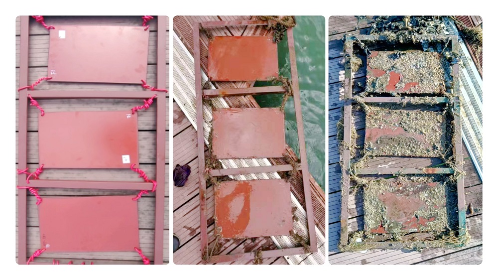 泛亞微透微透 泛亞微透微透