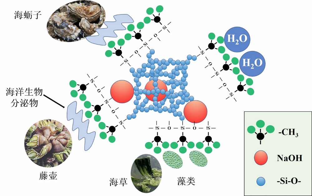 泛亞微透微透 泛亞微透微透