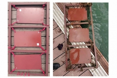 低表面能自拋光表面防污涂料